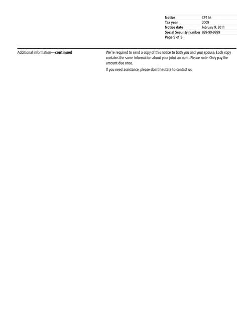 CP11A Notice (OTC Notice Project) - Page 5 Image of page 5 of a printed IRS CP11A Notice