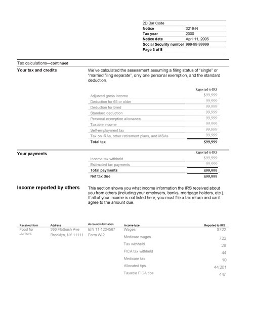 Image of page 3 of a printed IRS CP3219N Notice