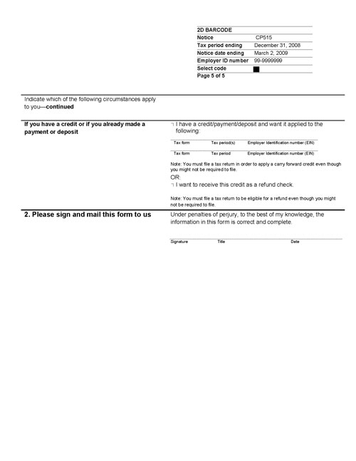 Image of page 5 of a printed IRS CP515B Notice