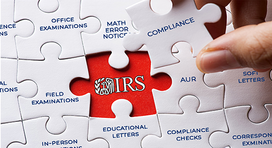 jigsaw puzzle depicting IRS compliance