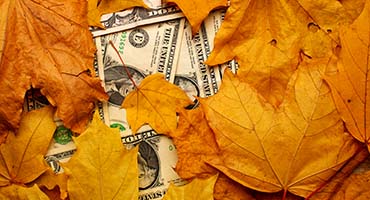 Nov. 21 Deadline to Register for EIP