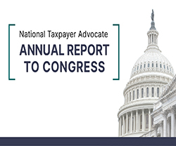 Report assesses taxpayer service challenges in 2022 and outlook for 2023.