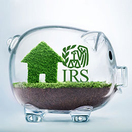 Glass piggy bank terrarium with house made of moss, IRS logo in green, on top of grass and soil.
