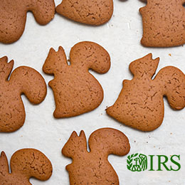 Squirrel-shaped cookies on parchment paper-lined cookiesheet; lower right corner green IRS logo