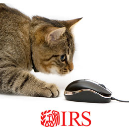 Brown tabby cat pawing at a computer mouse above a red IRS logo.